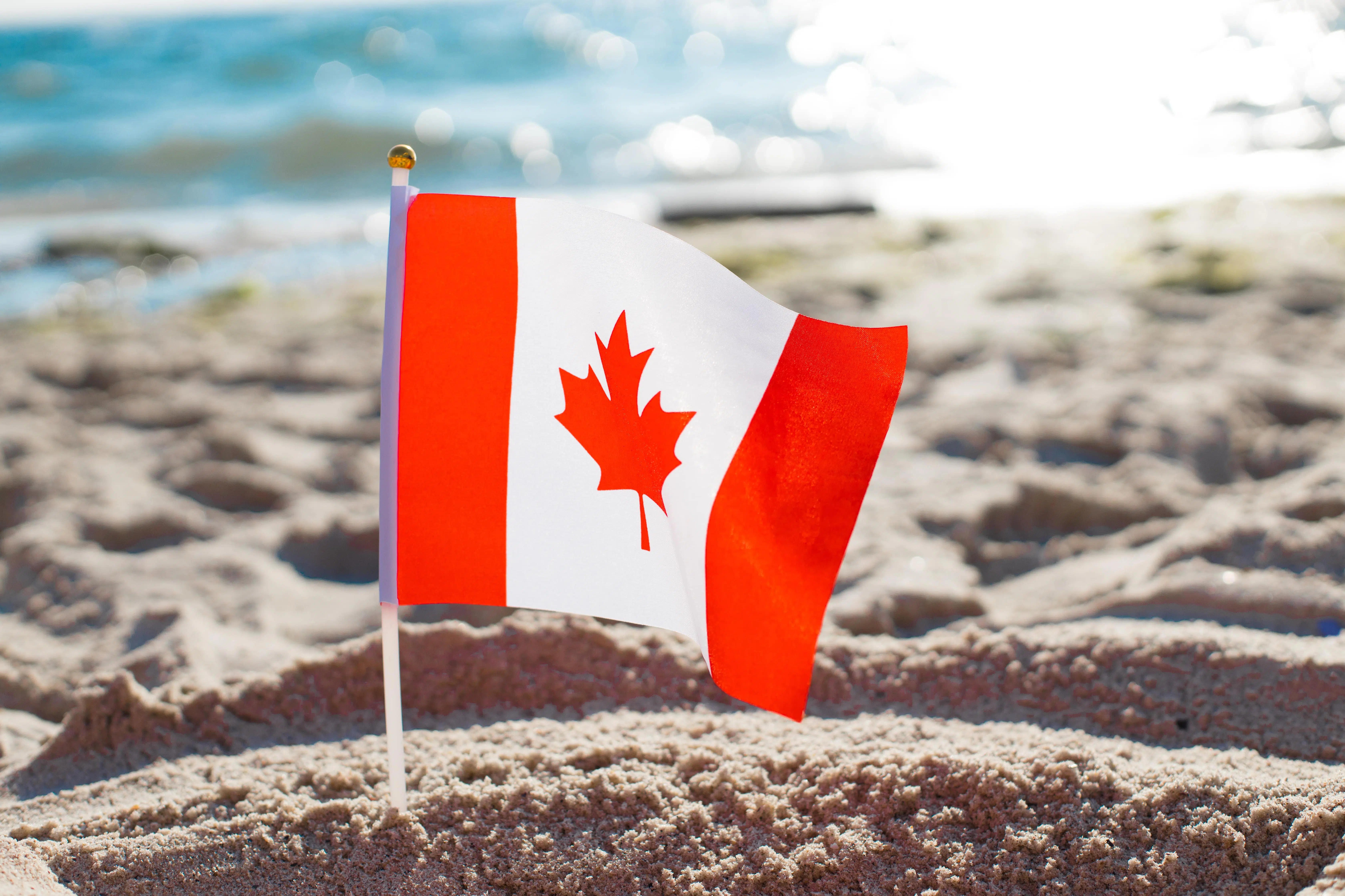 Canadian Study Permit